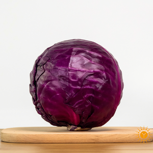 无公害紫包菜（约3斤） 