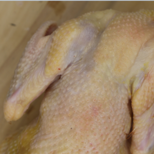 桃园散养公鸡（5个月） 2.4~2.8斤