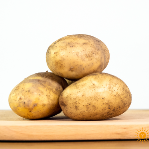 无公害土豆 