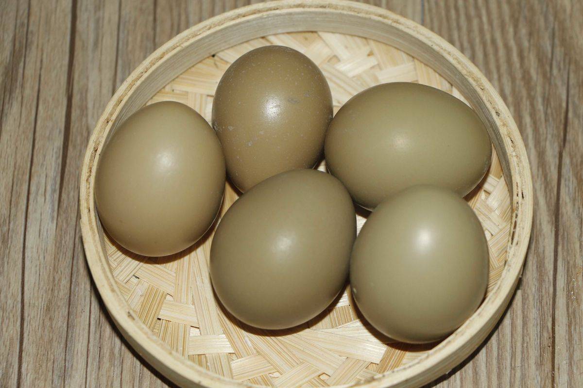 鸡蛋摄影图__传统美食_餐饮美食_摄影图库_昵图网nipic.com