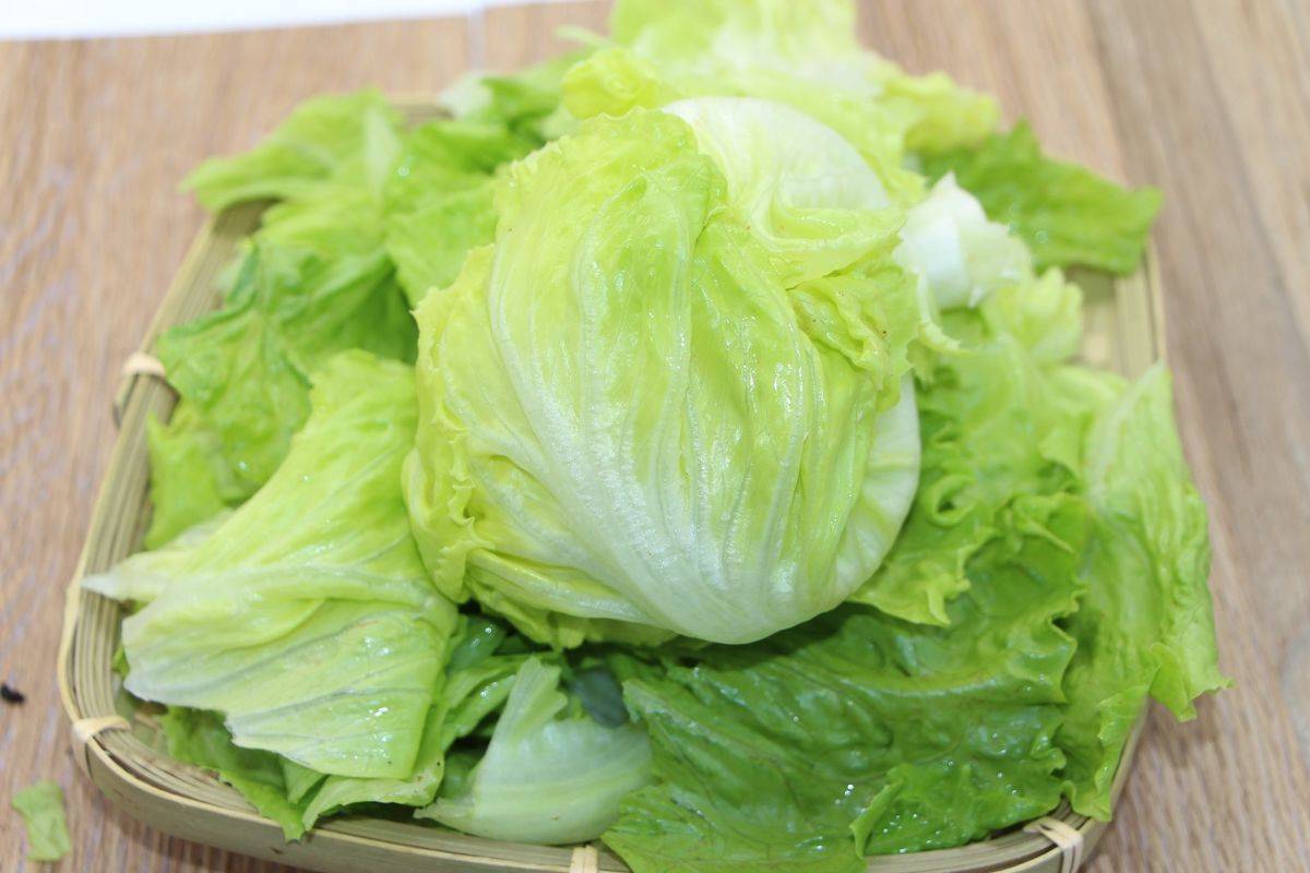 有机生菜 - 有机叶菜类 - 原味生活