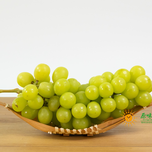 绿色防控阳光玫瑰葡萄 