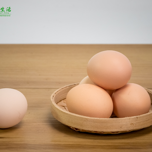 桃园散养草鸡蛋 45/盒 黄壳 