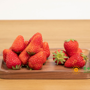 鲜草莓中大果（500g） 
