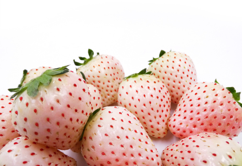 桃熏草莓百科图片