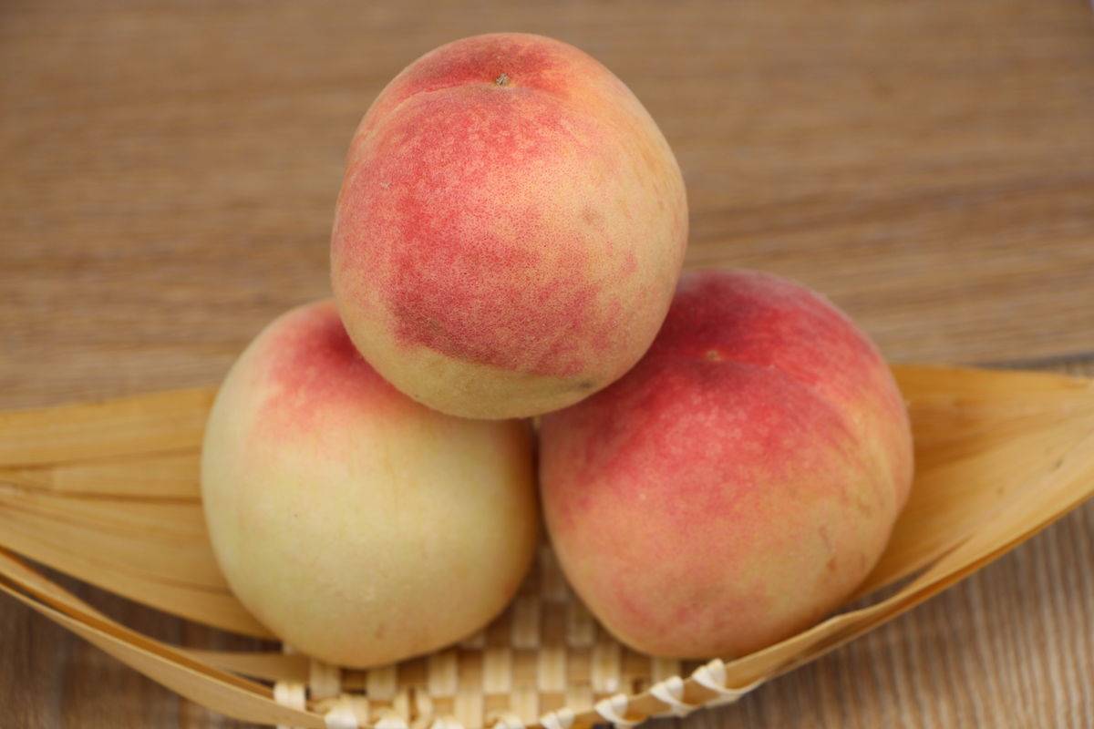 【舌尖宁德】古田的水蜜桃，藏着夏天最香甜的味道！_白凤桃