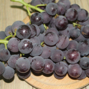 试吃装（3选一，限一份）避雨栽培巨峰葡萄约1斤 