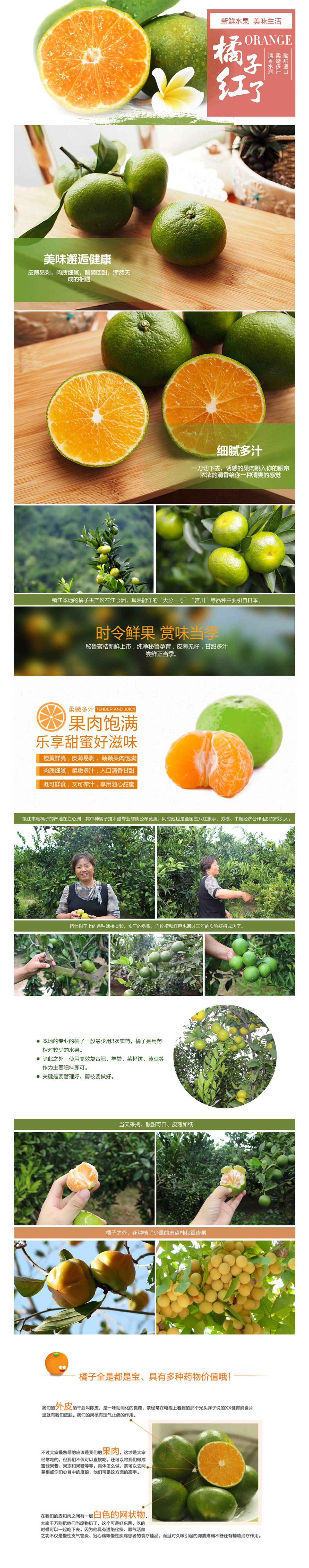 江心洲宫川蜜橘
