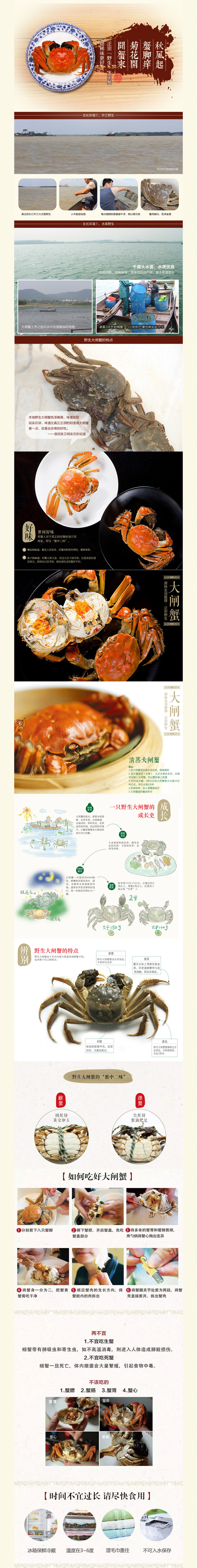 野生大闸蟹