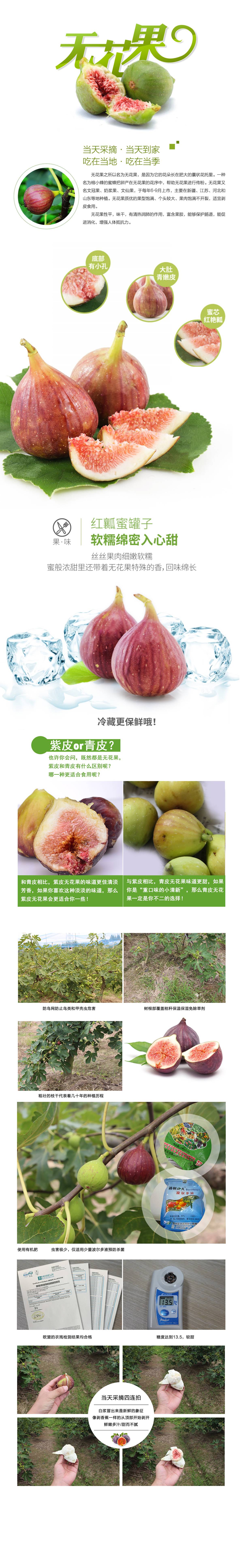 地产红皮红心无花果