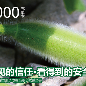 原味生活电子充值卡 1000元 