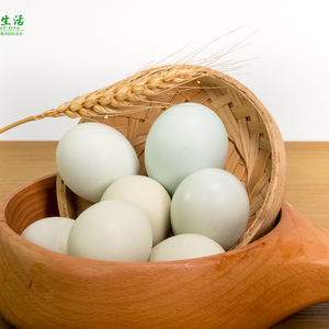 发酵床散养绿壳草鸡蛋 45/盒 绿壳 
