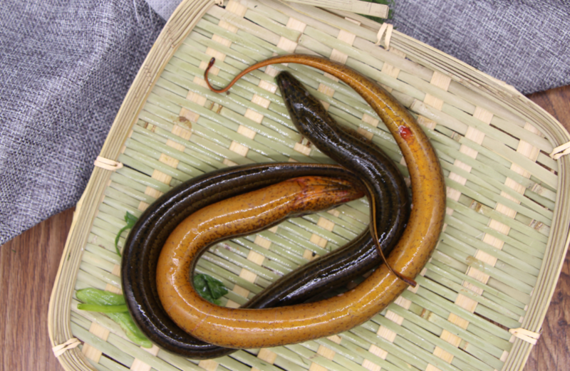 水库长鱼每条4两以上